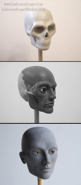 head_sculpting_progressjpg