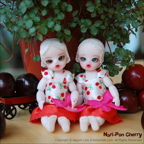 1nari-pon_cherry_5