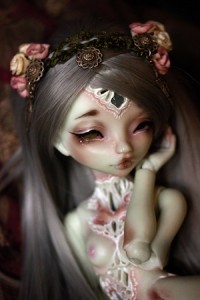 noble dolls bjd