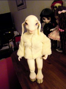 noble dolls bjd