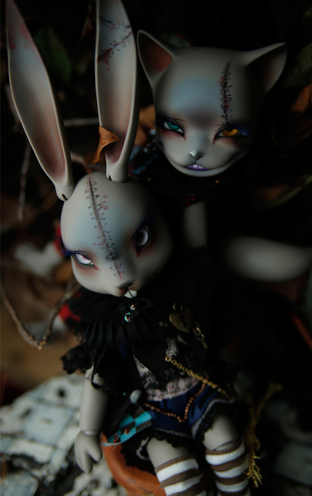Mysterious Rabbit & Cheshire