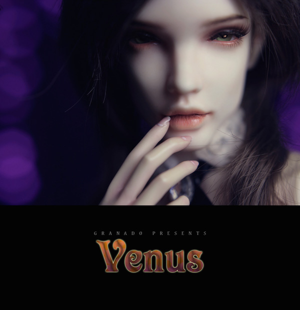 Venus Update