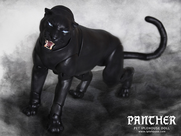 panther 1